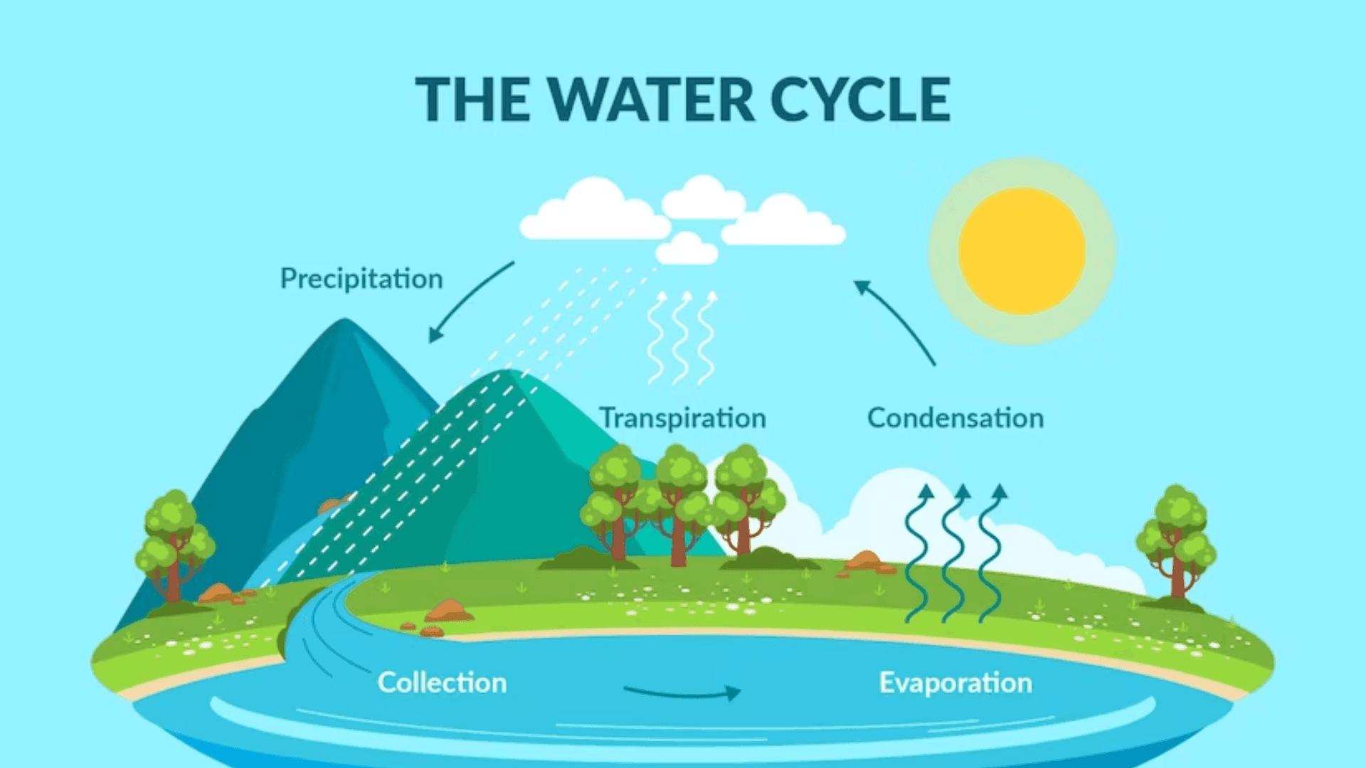 Cycles in Matter and Water