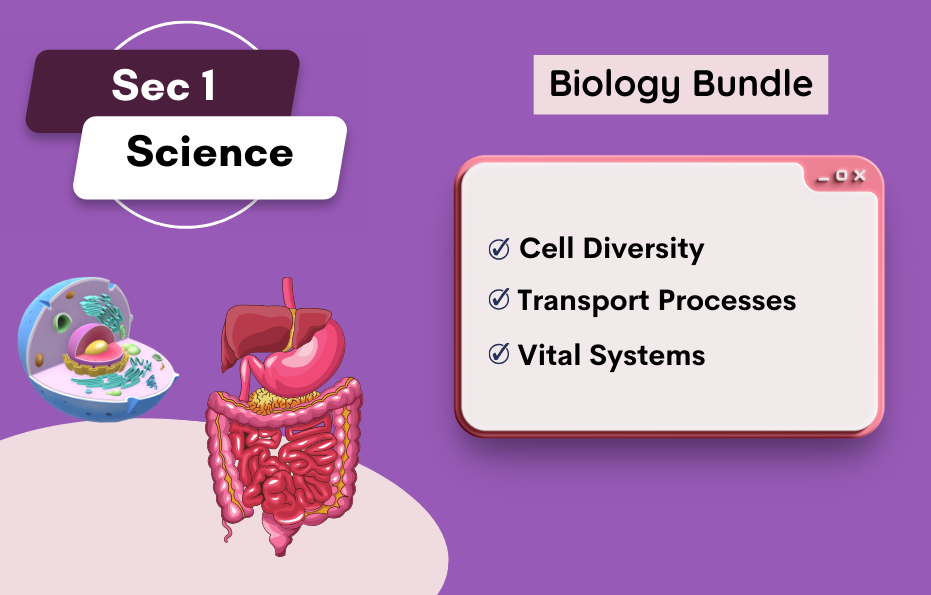 Sec -1 tuition (931 × 595px)- (without Batch) bio